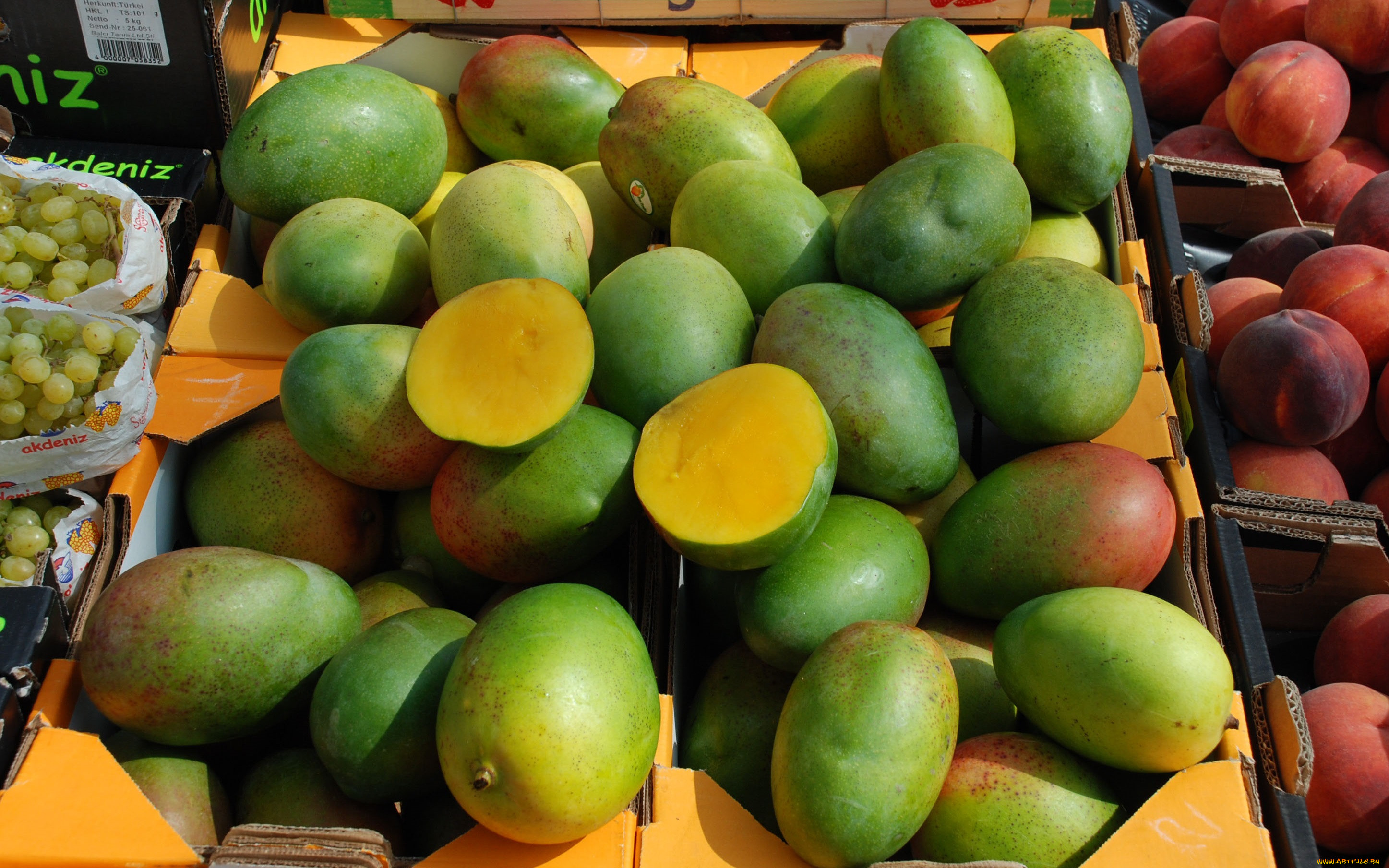 mango, , , 